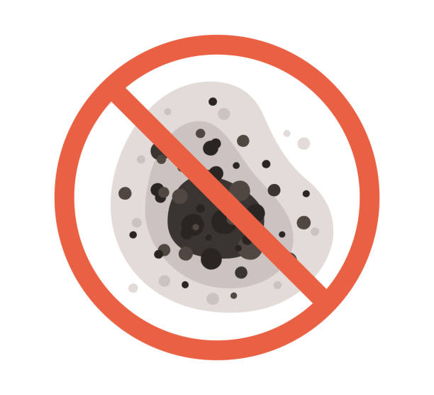 Best Environmental Consulting for Mold Prevention  in Livingston, MT