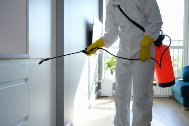 Best Crawl Space Mold Remediation  in Livingston, MT