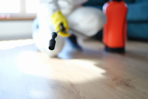 Best HVAC Mold Inspection and Cleaning  in Livingston, MT