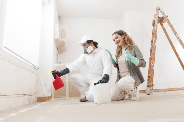 Best Basement Mold Removal  in Livingston, MT